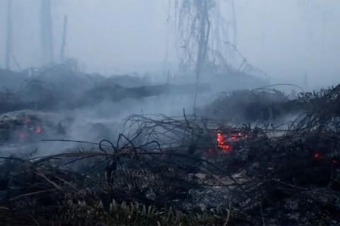 Mendagri akan keluarkan SE terkait anggaran karhutla