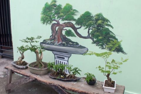 Menggerakkan perekonomian warga melalui Kampung Bonsai