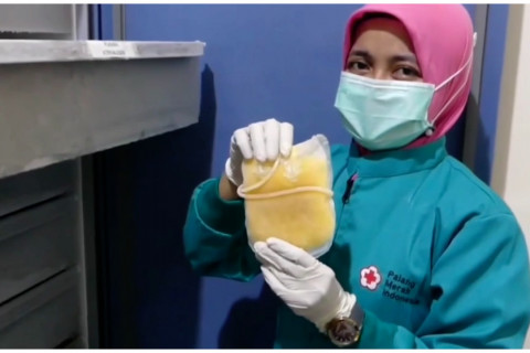 PMI sebut penyaluran plasma konvalesen harus melalui RS