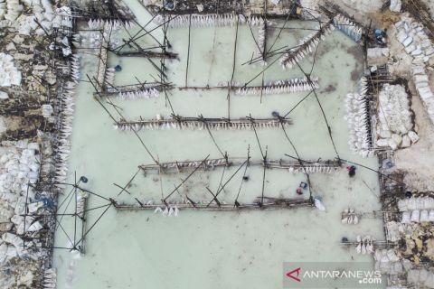 Industri pengolahan limbah tepung