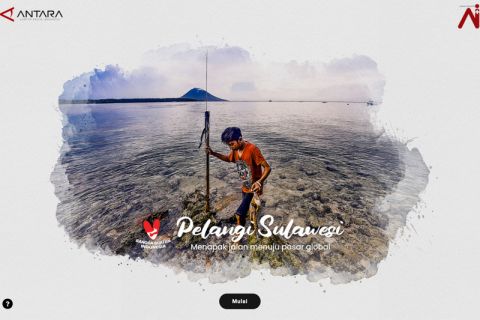 Pelangi Sulawesi