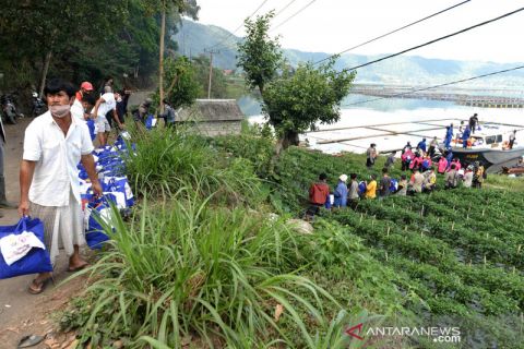 Distribusi bantuan untuk korban gempa Bali
