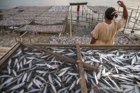 Potensi perikanan tangkap nasional