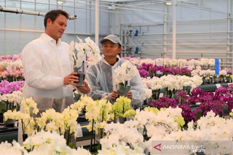 Jack Ma akhirnya muncul ke publik, kali ini di Belanda