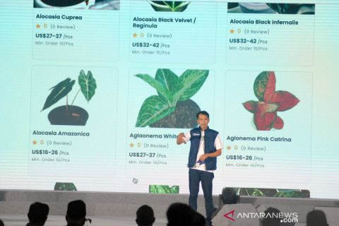 Aplikasi digital untuk penjualan ekspor tanaman hias