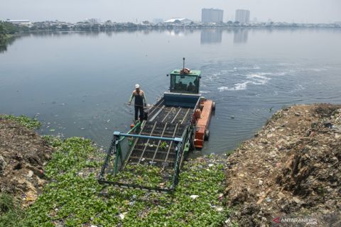 Pembersihan Waduk Pluit untuk antisipasi banjir