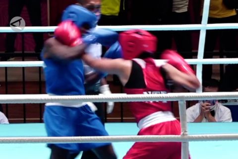Kalahkan NTT, petinju putri Papua lolos ke semi final
