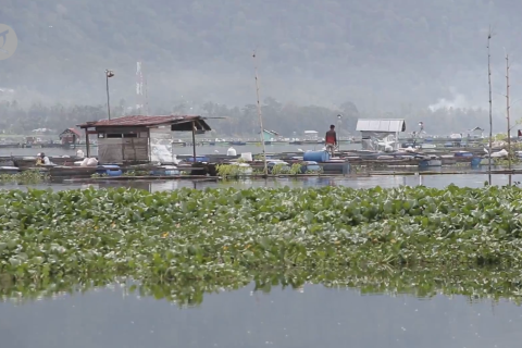 Selamatkan Danau Maninjau dengan jiwa gotong royong