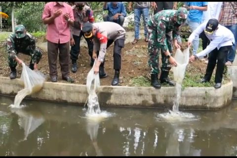 TNI bagikan bibit ikan untuk tingkatkan taraf hidup masyarakat