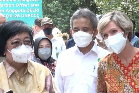 KLHK gandeng Bank Dunia rehabilitasi mangrove