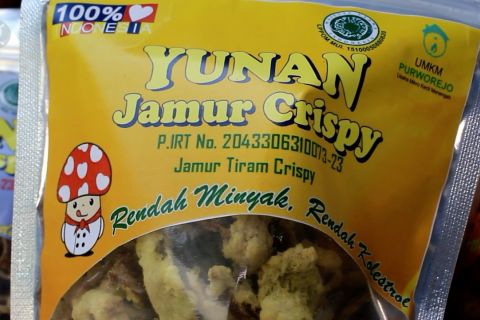 Pemberdayaan ekonomi keluarga lewat usaha jamur olahan