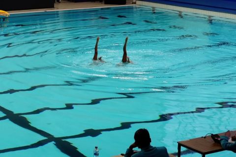 Cara Sulsel andalkan atlet lokal jadi bintang renang artistik&nbsp;