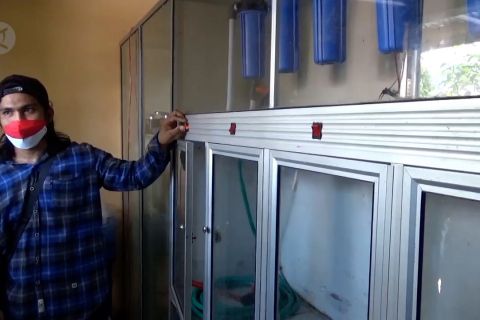 Kurir senjata anak buah Santoso itu kini sukses dalam usaha
