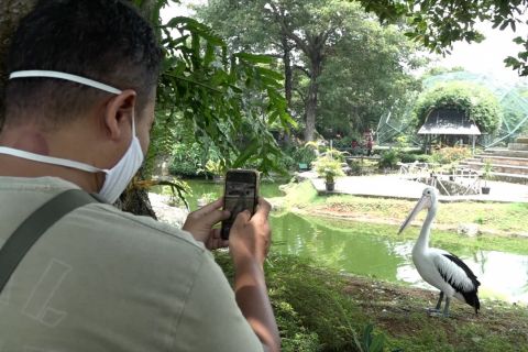Menikmati wisata taman burung sembari mengedukasi anak