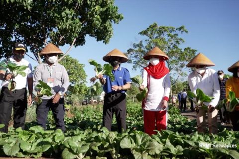 Wapres apresiasi kreativitas Kodam XVIII Kasuari menata lingkungan