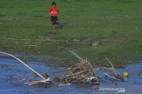 Beginilah risiko bermain sepak bola di habitat buaya liar