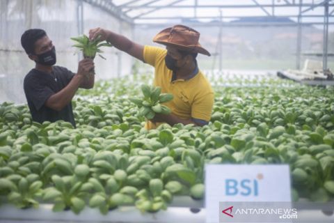 Pemanfaatan KUR BSI