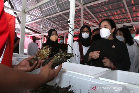 Ketua DPR berdialog dengan nelayan Banyuwangi