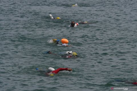 Lomba Renang Lintas Teluk Palu