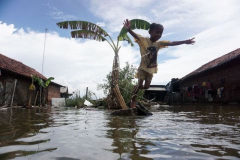 Banjir rob