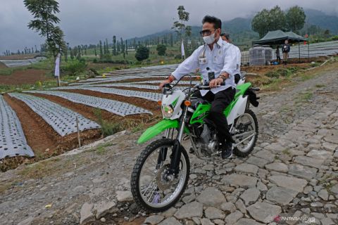 Menteri Pertanian kunjungi Food Estate