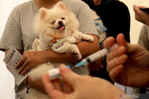 Kampanye Indonesia bebas rabies di tahun 2030