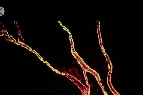 Kemendikbudristek promosikan Situs Liyangan melalui film