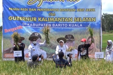 Mewujudkan Kalsel sebagai sentra produksi padi