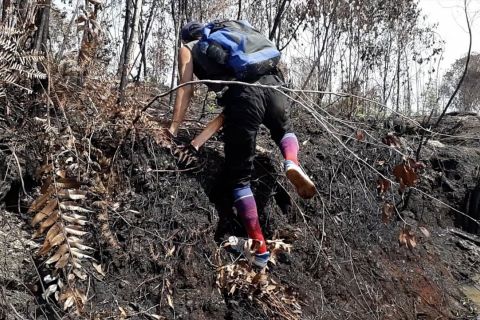 KLHK Wilayah Kalteng bekali kemampuan pengendalian karhutla