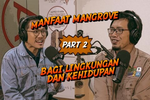 Manfaat mangrove bagi lingkungan dan kehidupan (part 2)