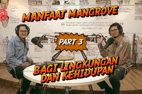 Manfaat mangrove bagi lingkungan dan kehidupan (part 3)