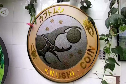 Kumbang Kolombia diekspor dengan mata uang kripto