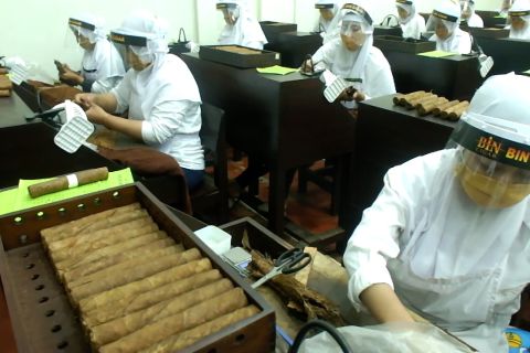 Mendorong UMKM go internasional melalui festival Jember kota cerutu