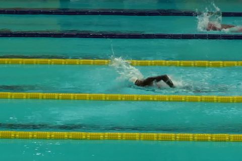 Papua amankan 7 emas di para renang Peparnas