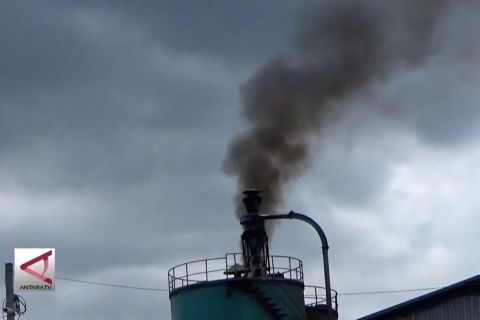 Pajak karbon jadi salah satu upaya hadapi perubahan iklim