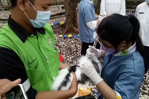 Peringati HCPSN 2021, Disbudpar cek kesehatan hewan di taman tematik