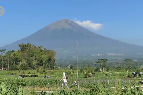 Buka SLI di Temanggung, Kepala BMKG berharap tembakau produktif