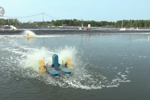 Mengoptimalkan potensi besar perikanan Riau