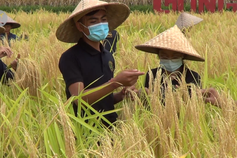 Cegah pandemi tersembunyi dengan stop resistensi antimikroba