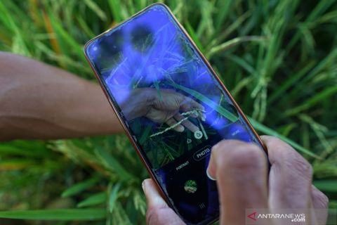 Aplikasi bagi petani untuk akses informasi pertanian