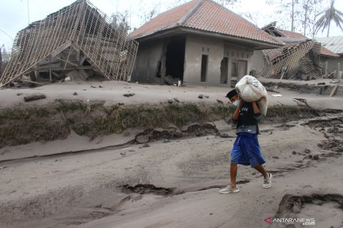 Victims of Mount Semeru eruption save their belongings