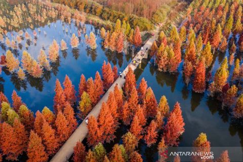 Warna-warni Cagar Sumber Air Songhuaba di Yunnan