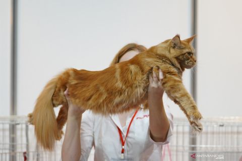 PetExpo 2021 di Latvia