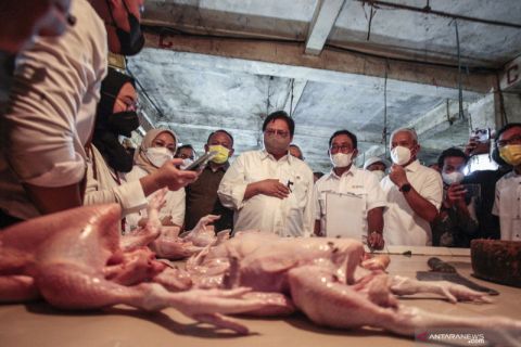 Menko Perekonomian sidak Pasar Cileungsi