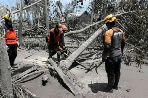 Pencegahan  penyakit menular di daerah terdampak erupsi Semeru