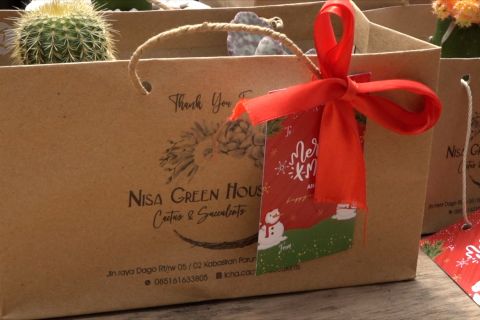 Cantiknya kaktus menjadi bingkisan Natal