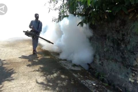 Klaten intensifkan pengasapan cegah Chikungunya