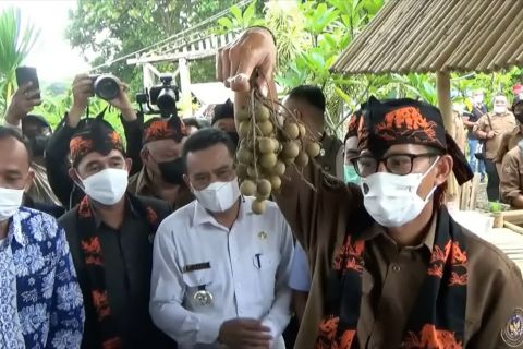 Menparekraf harap Kampung Agrinex jadi solusi ciptakan lapangan kerja