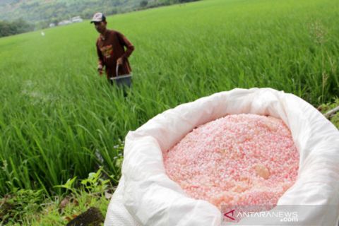 Alokasi pupuk bersubsidi 2022