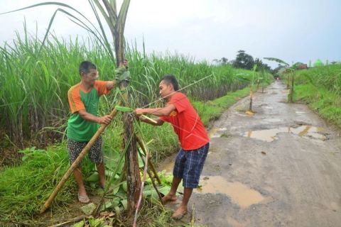 Jalan desa rusak